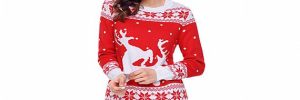 Seasons Greetings Ladies Knitted Jumpers OEM Service Computer Knitted Technics