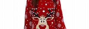 Woman Funny Christmas Moose Patterned Round Neck Sweater Pullover Style