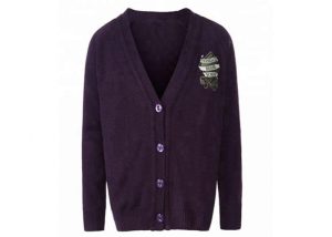 Junior High School Burgundy Uniform Sweater Breathable For Autumn / Winter