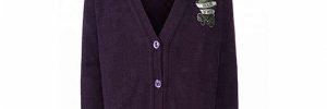 Junior High School Burgundy Uniform Sweater Breathable For Autumn / Winter