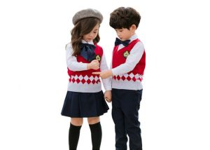 Pure Cotton Kids Eco – Friendly Primary School Uniform Sweaters