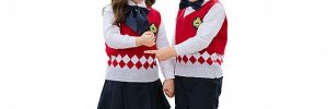 Pure Cotton Kids Eco - Friendly Primary School Uniform Sweaters
