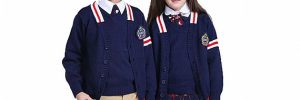 Custom British Style V Neck Stripe School Uniform Sweaters Cotton Primary School