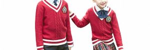 Breathable OEM Design Boy And Girl School Dress Sweater European Style V Neck