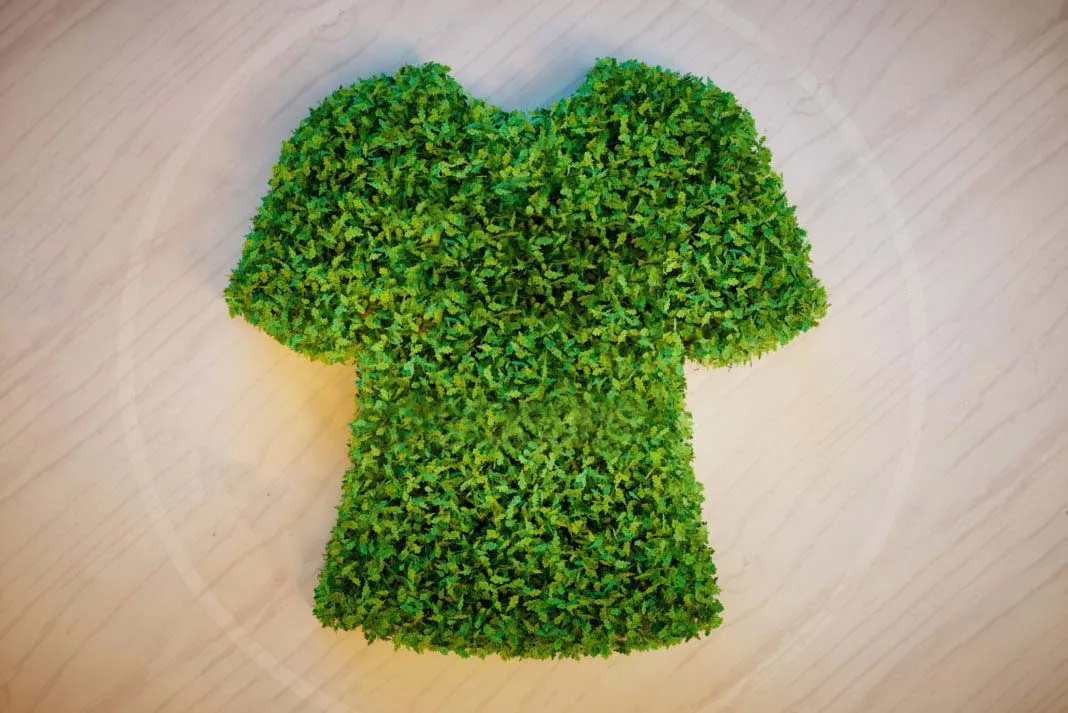 Sustainable Hoodies